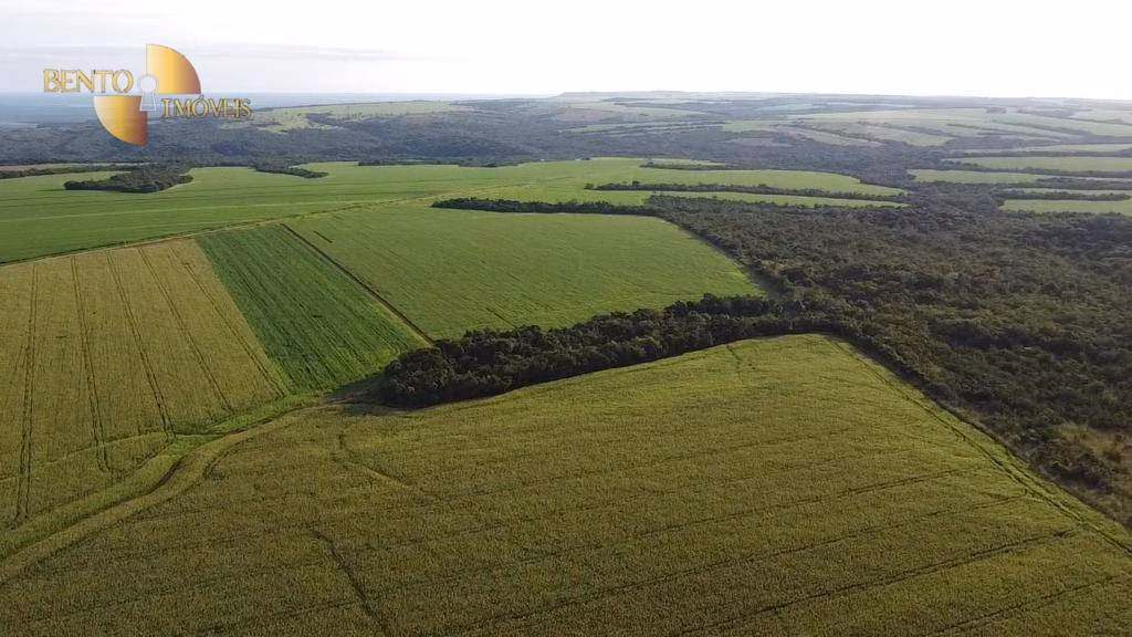 Fazenda de 1.145 ha em Diamantino, MT