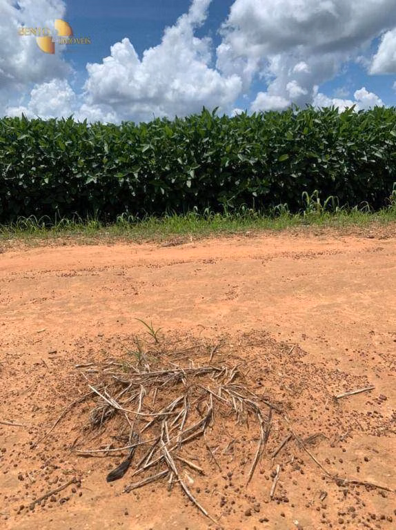 Fazenda de 1.145 ha em Diamantino, MT