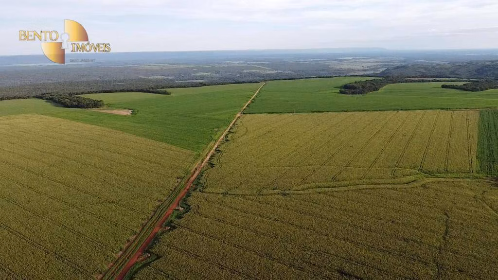 Fazenda de 1.145 ha em Diamantino, MT