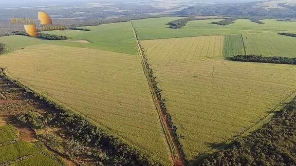 Fazenda de 1.145 ha em Diamantino, MT