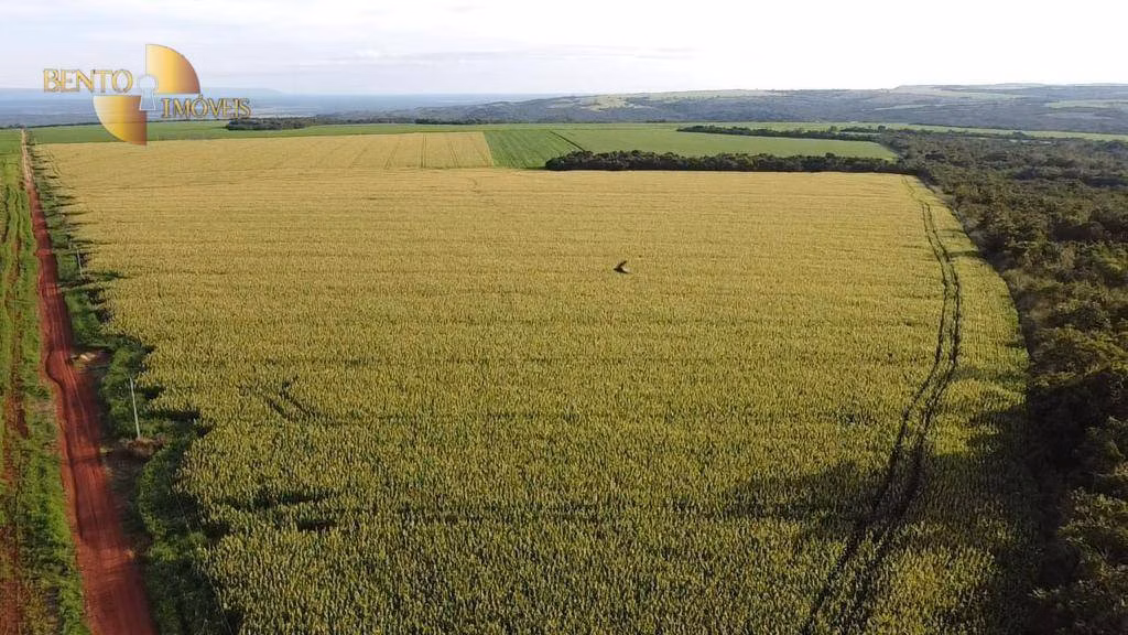 Fazenda de 1.145 ha em Diamantino, MT
