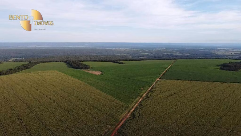 Fazenda de 1.145 ha em Diamantino, MT