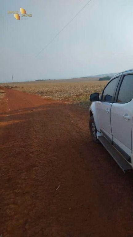 Fazenda de 1.145 ha em Diamantino, MT