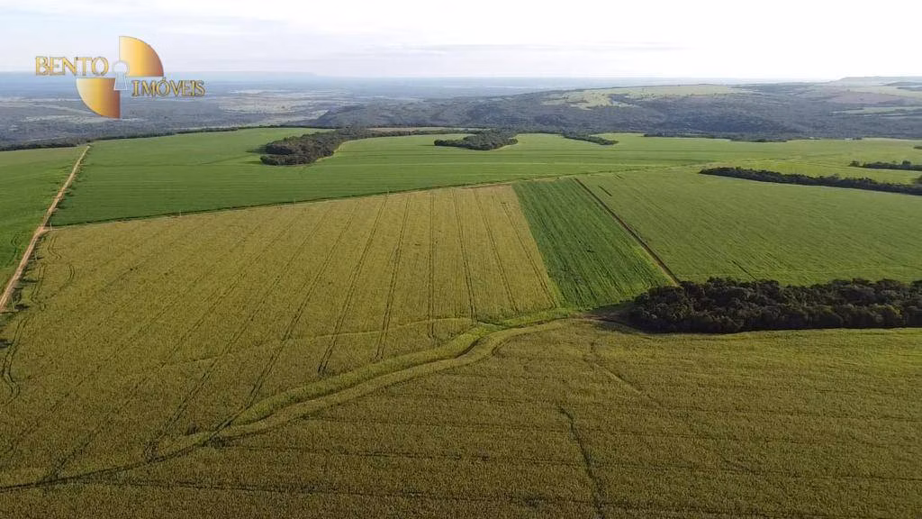Fazenda de 1.145 ha em Diamantino, MT