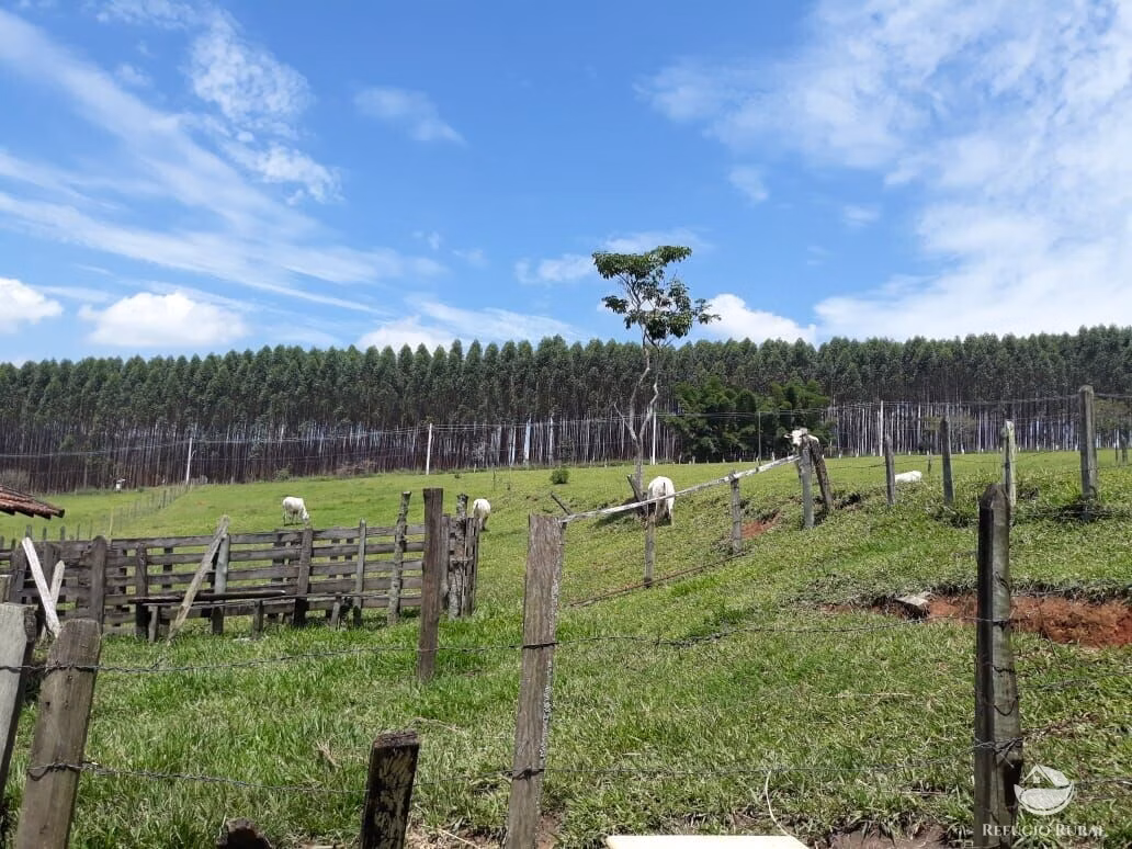 Sítio de 7 ha em São José dos Campos, SP