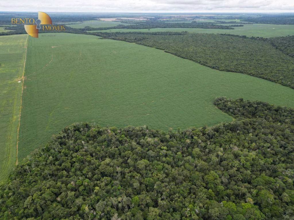 Fazenda de 497 ha em Tapurah, MT