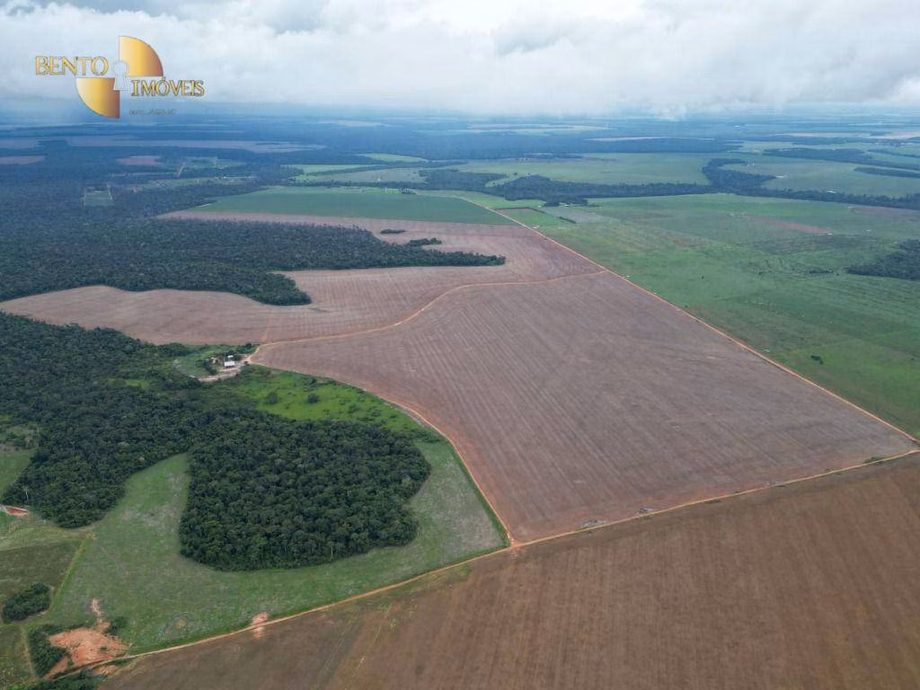 Fazenda de 497 ha em Tapurah, MT