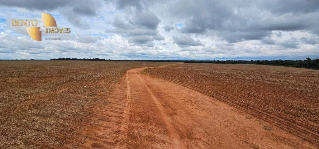 Fazenda de 497 ha em Tapurah, MT