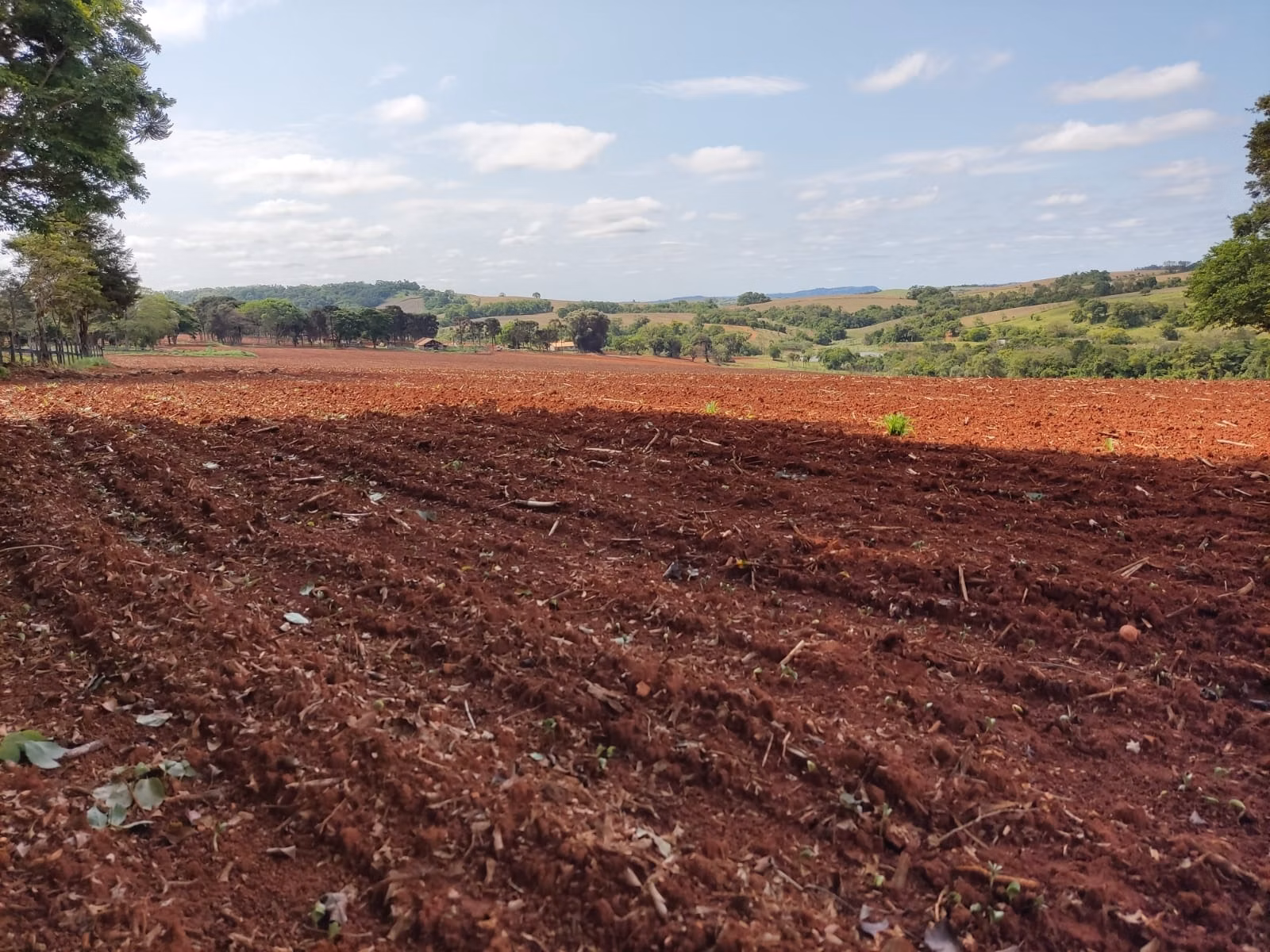 Fazenda de 167 ha em Itapetininga, SP