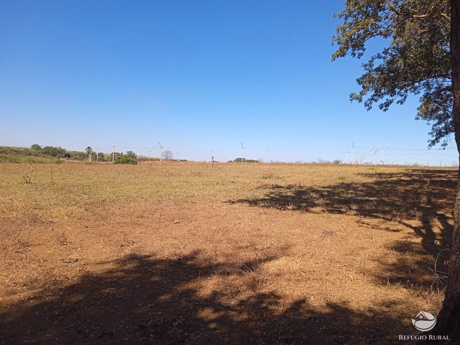 Small farm of 10 acres in Miguelópolis, SP, Brazil