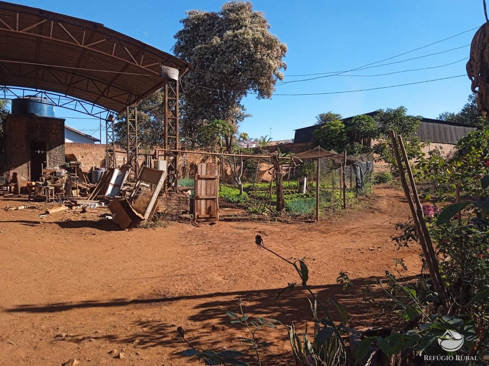 Small farm of 10 acres in Miguelópolis, SP, Brazil