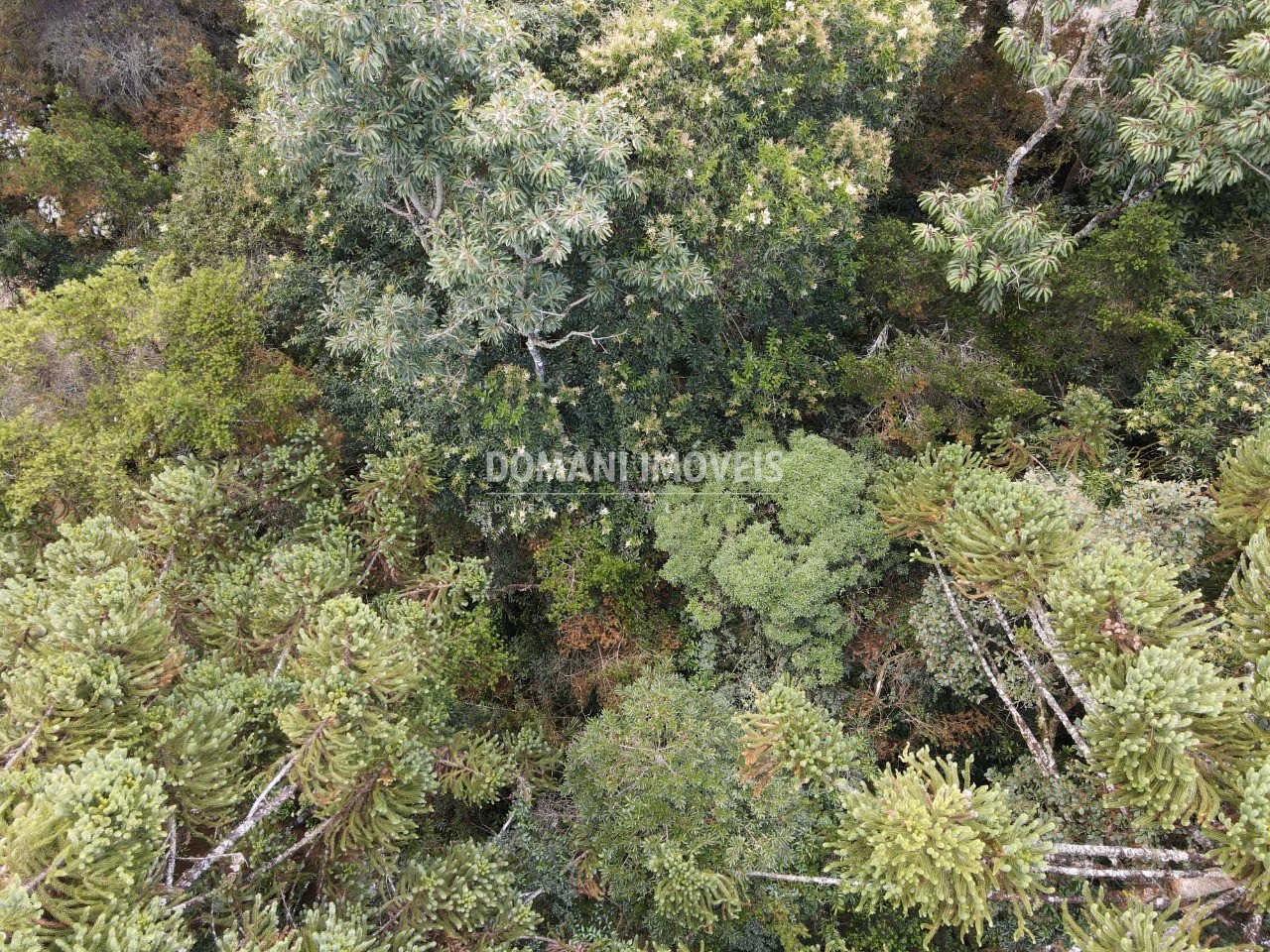 Plot of 1,070 m² in Campos do Jordão, SP, Brazil