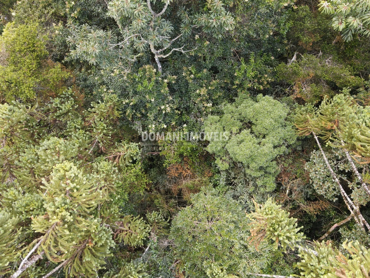 Plot of 1,070 m² in Campos do Jordão, SP, Brazil