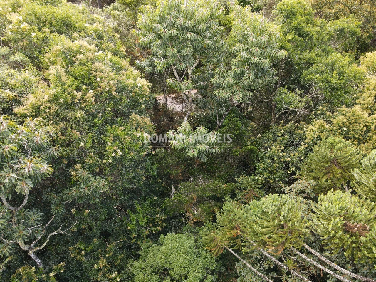 Terreno de 1.070 m² em Campos do Jordão, SP