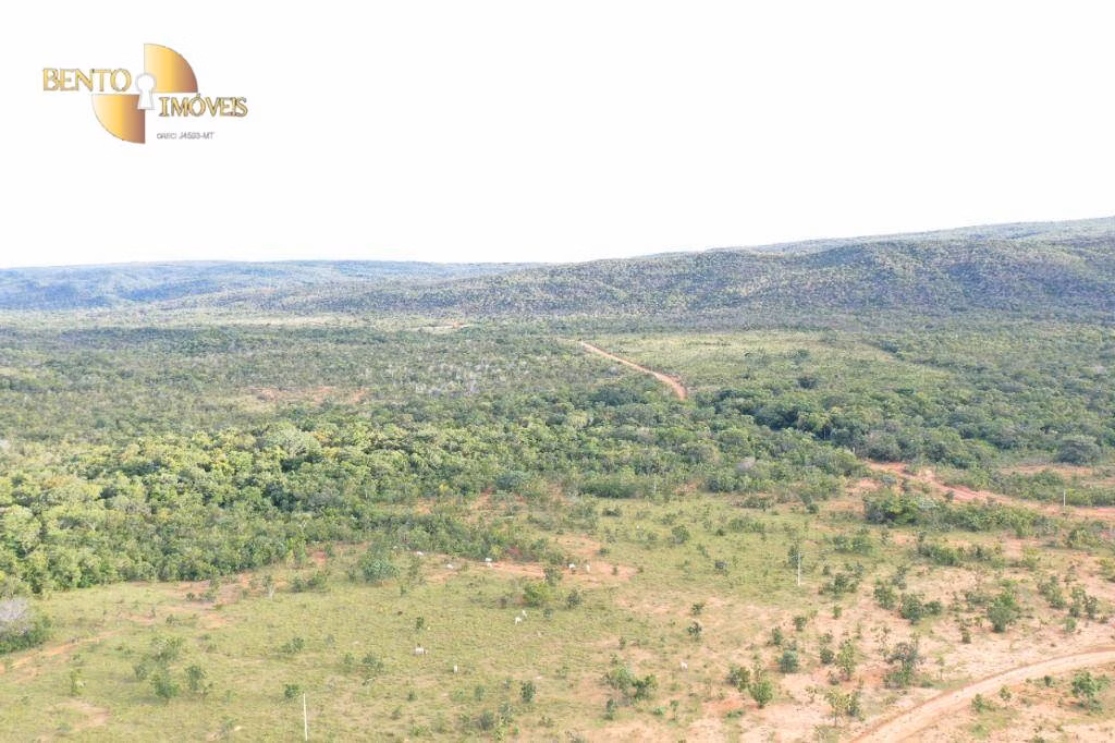 Fazenda de 2.894 ha em Acorizal, MT