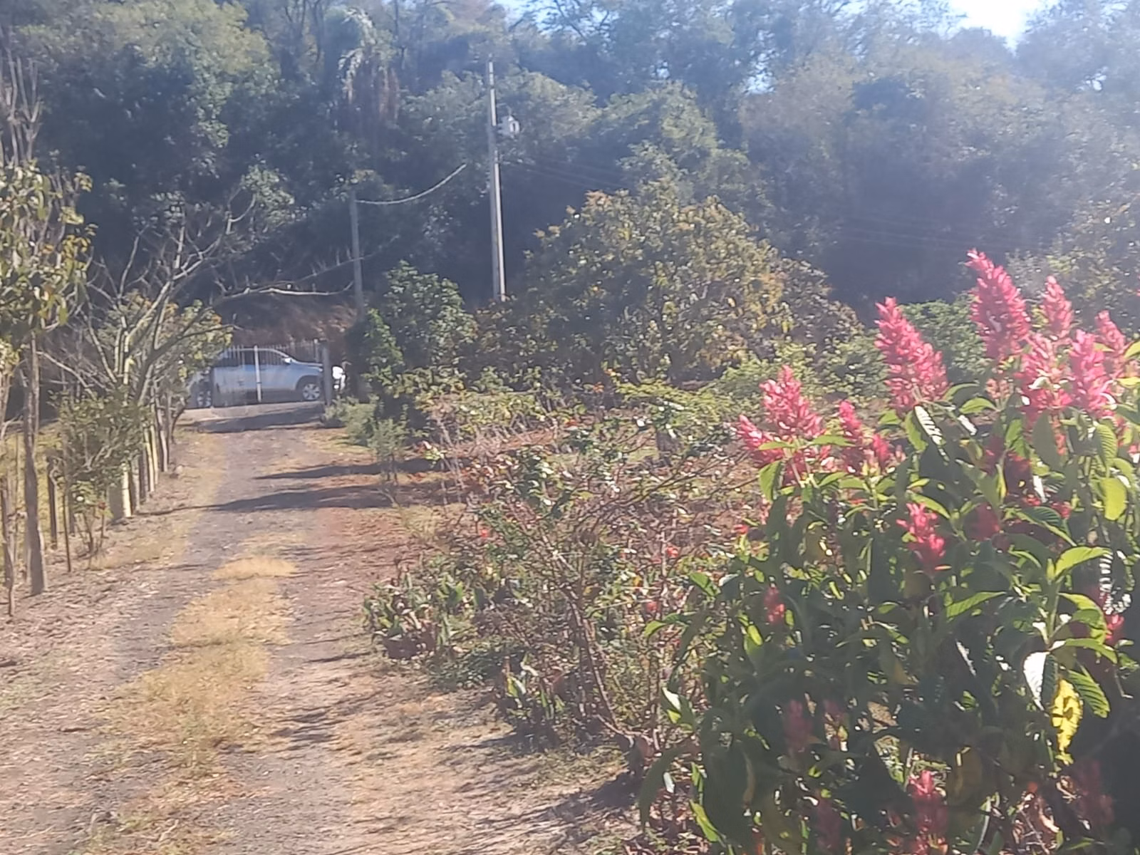 Country home of 14 acres in Porto Feliz, SP, Brazil
