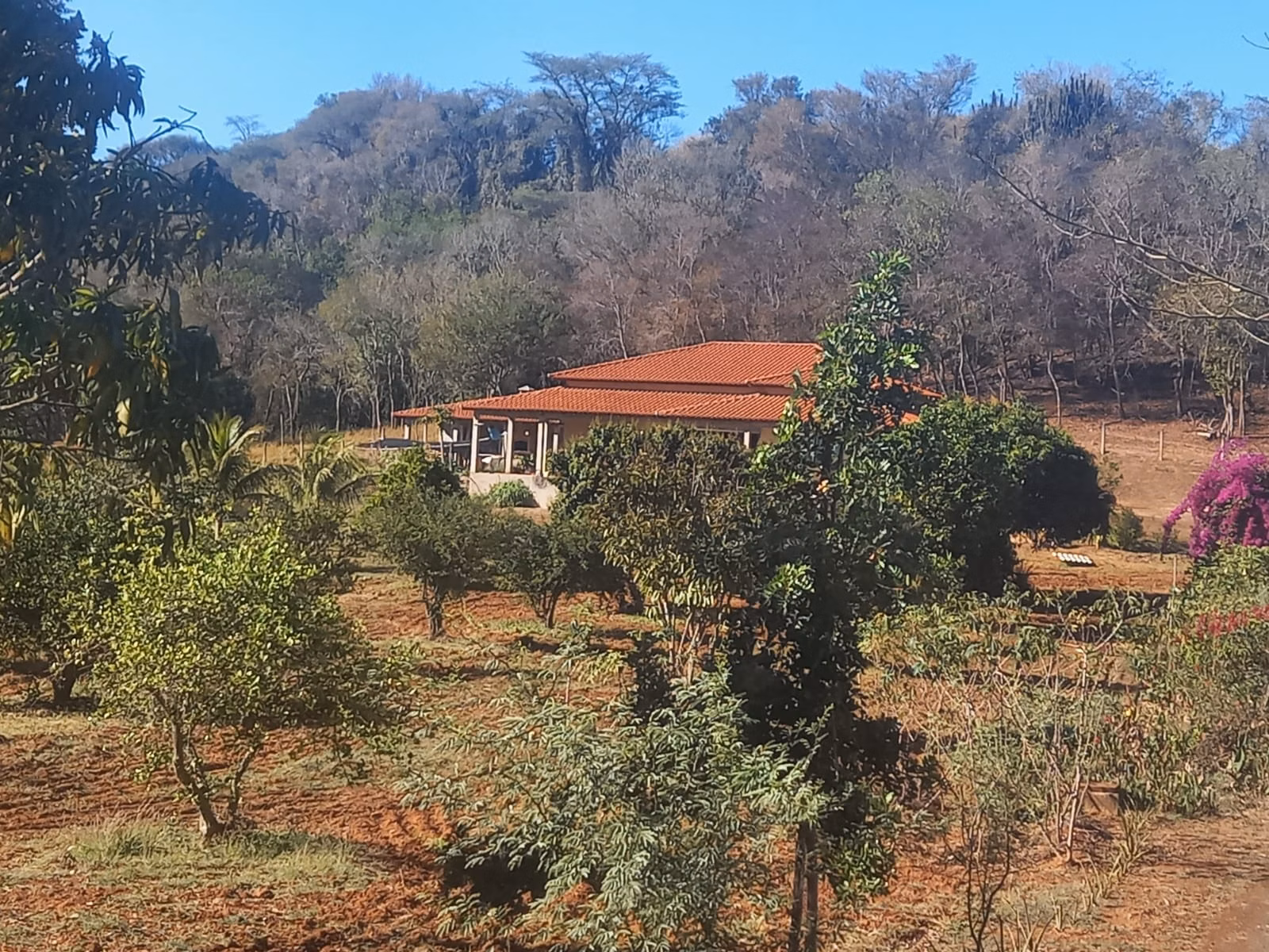 Chácara de 6 ha em Porto Feliz, SP