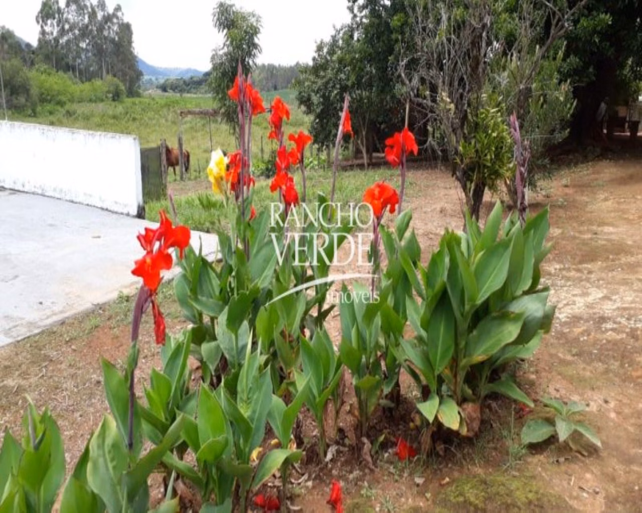 Sítio de 8 ha em Conceição do Rio Verde, MG