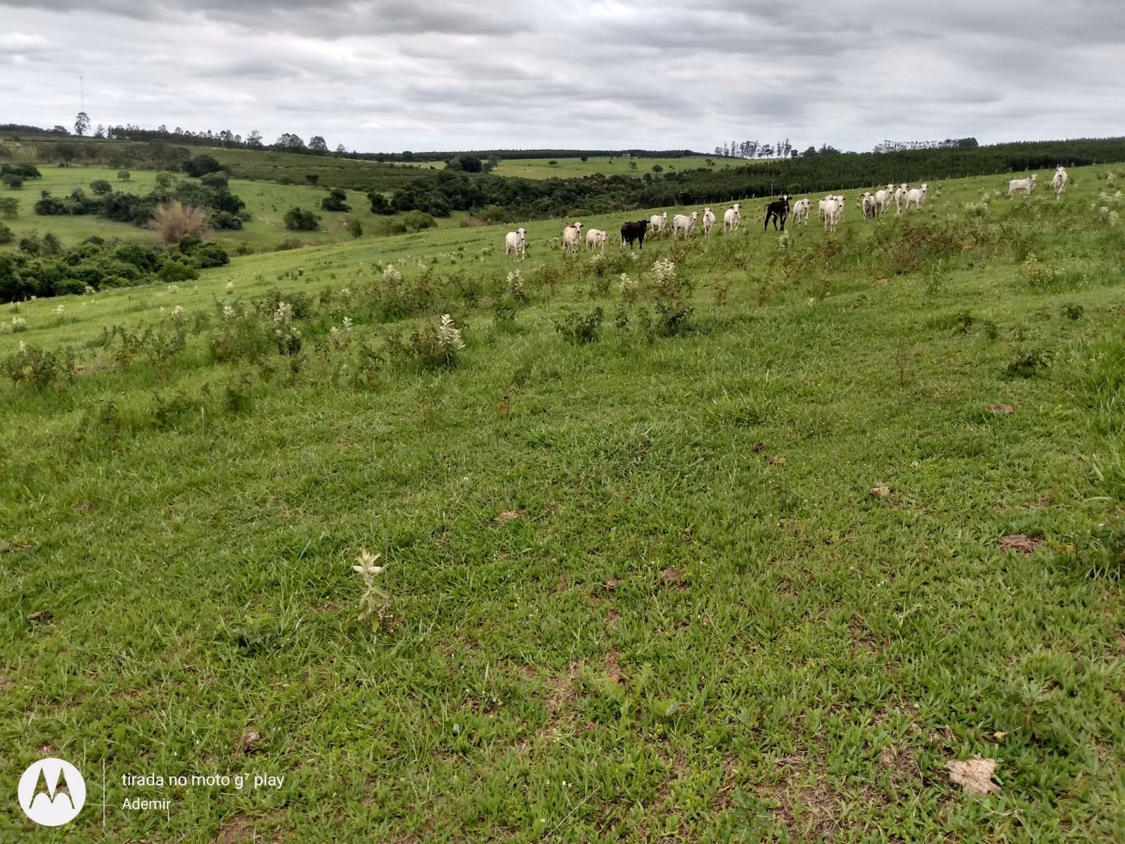Small farm of 49 acres in Anhembi, SP, Brazil