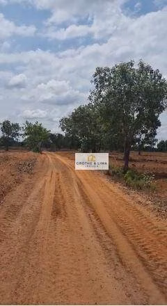 Fazenda de 1.026 ha em Araguaína, TO