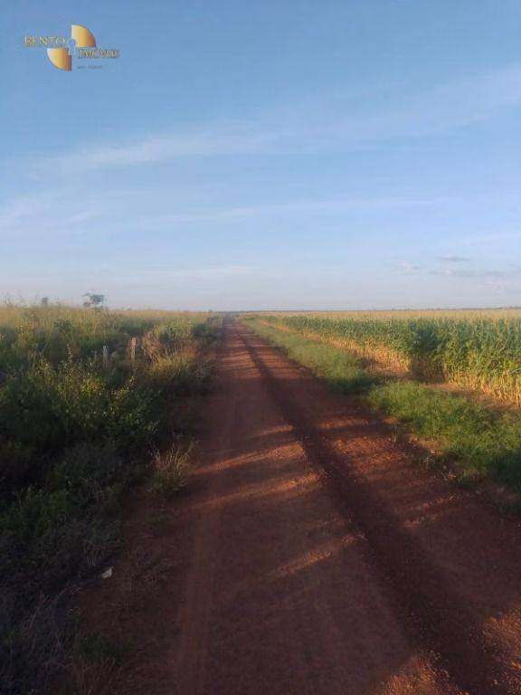 Fazenda de 1.448 ha em Marcelândia, MT