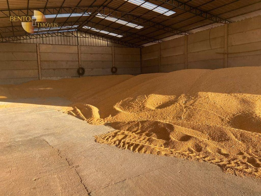 Fazenda de 1.448 ha em Marcelândia, MT