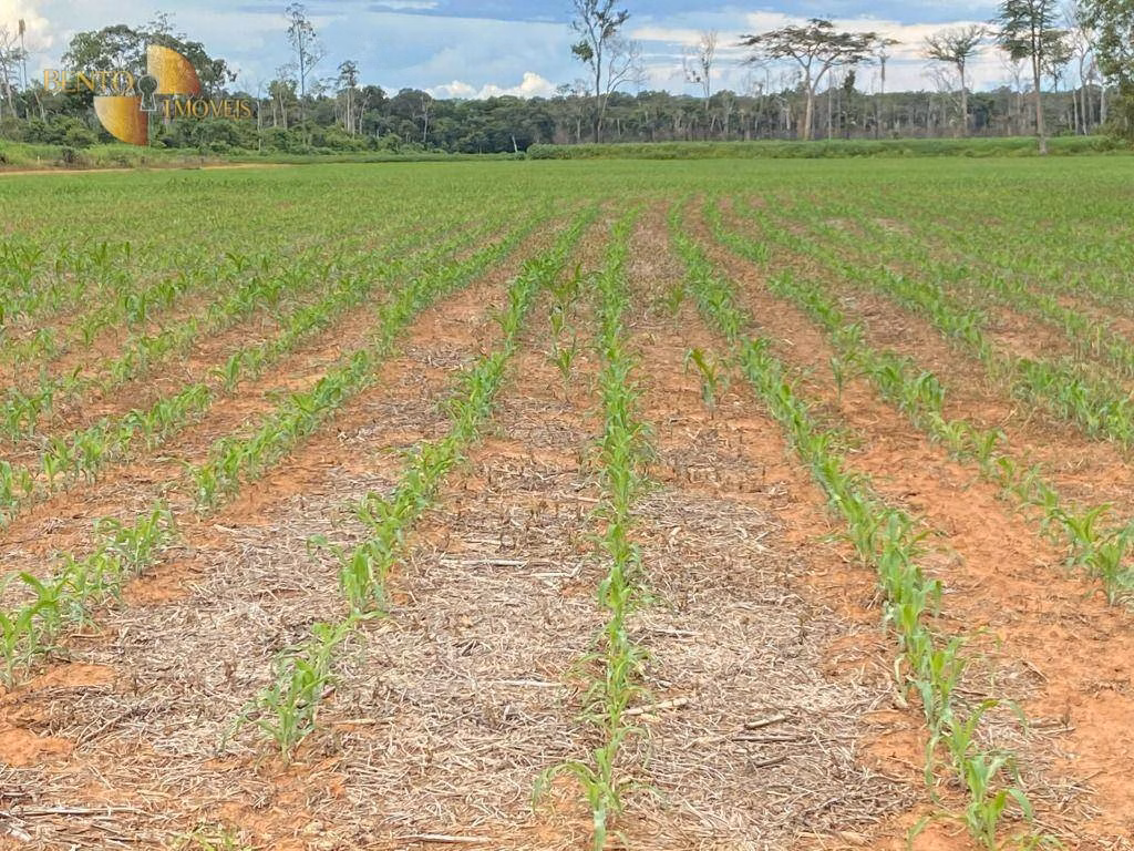 Fazenda de 1.448 ha em Marcelândia, MT