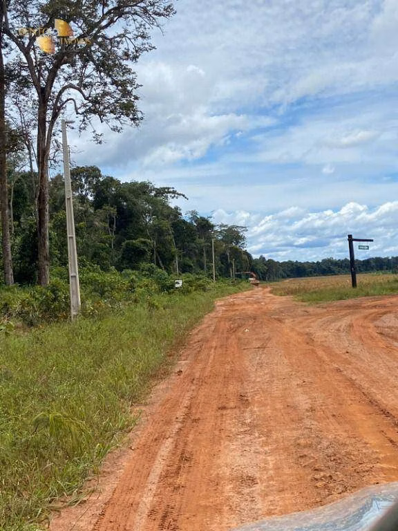 Fazenda de 1.448 ha em Marcelândia, MT