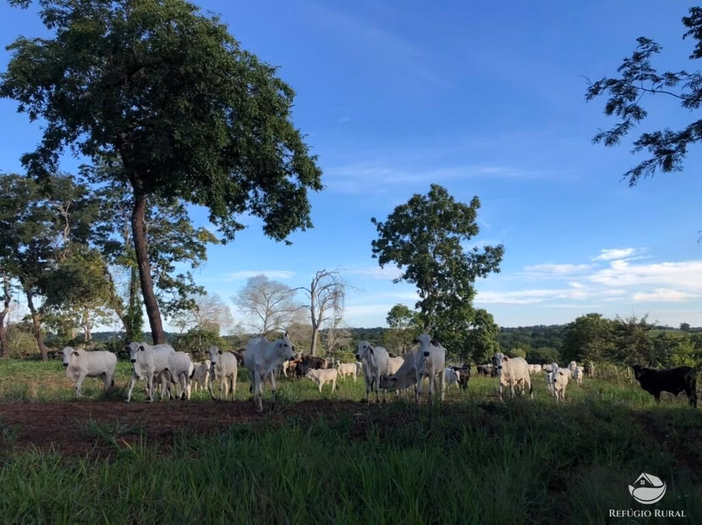 Fazenda de 7.826 ha em Alcinópolis, MS