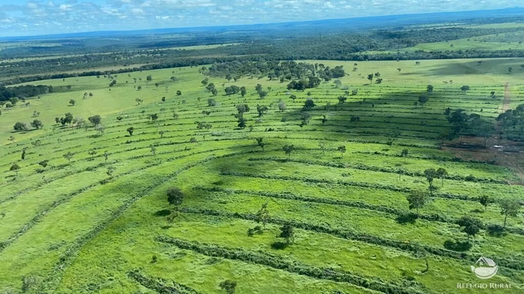 Fazenda de 7.826 ha em Alcinópolis, MS
