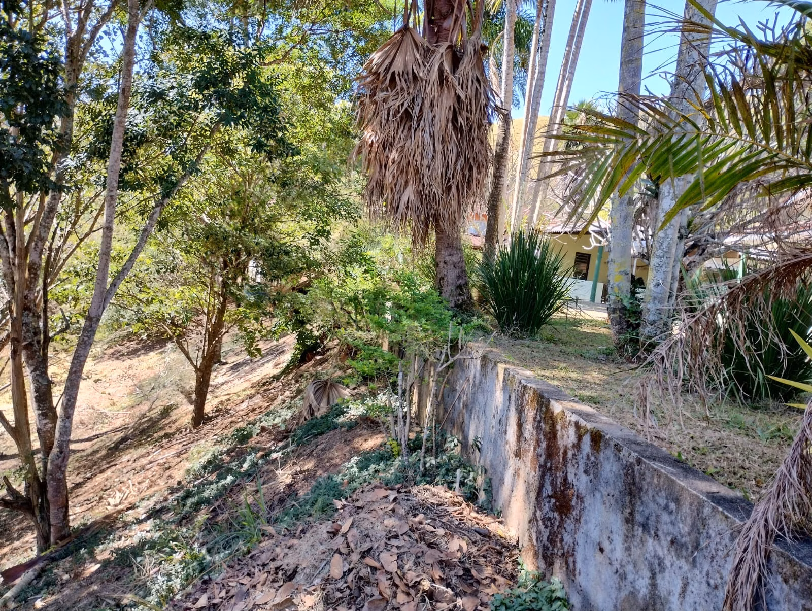 Sítio de 3 ha em Monteiro Lobato, SP