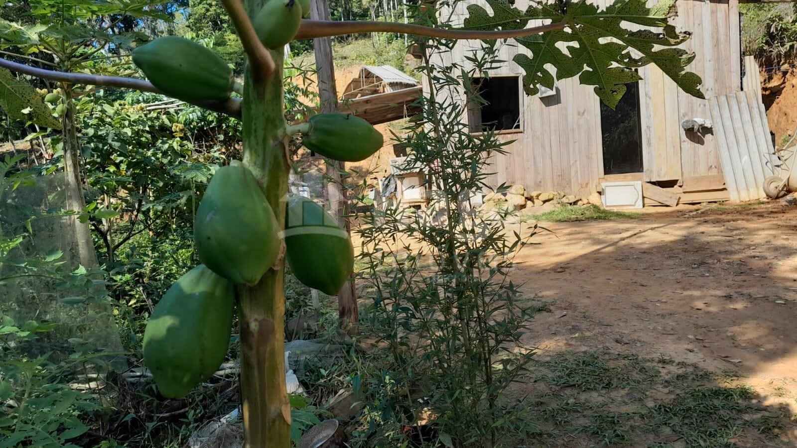 Farm of 2,947 m² in Itajaí, SC, Brazil