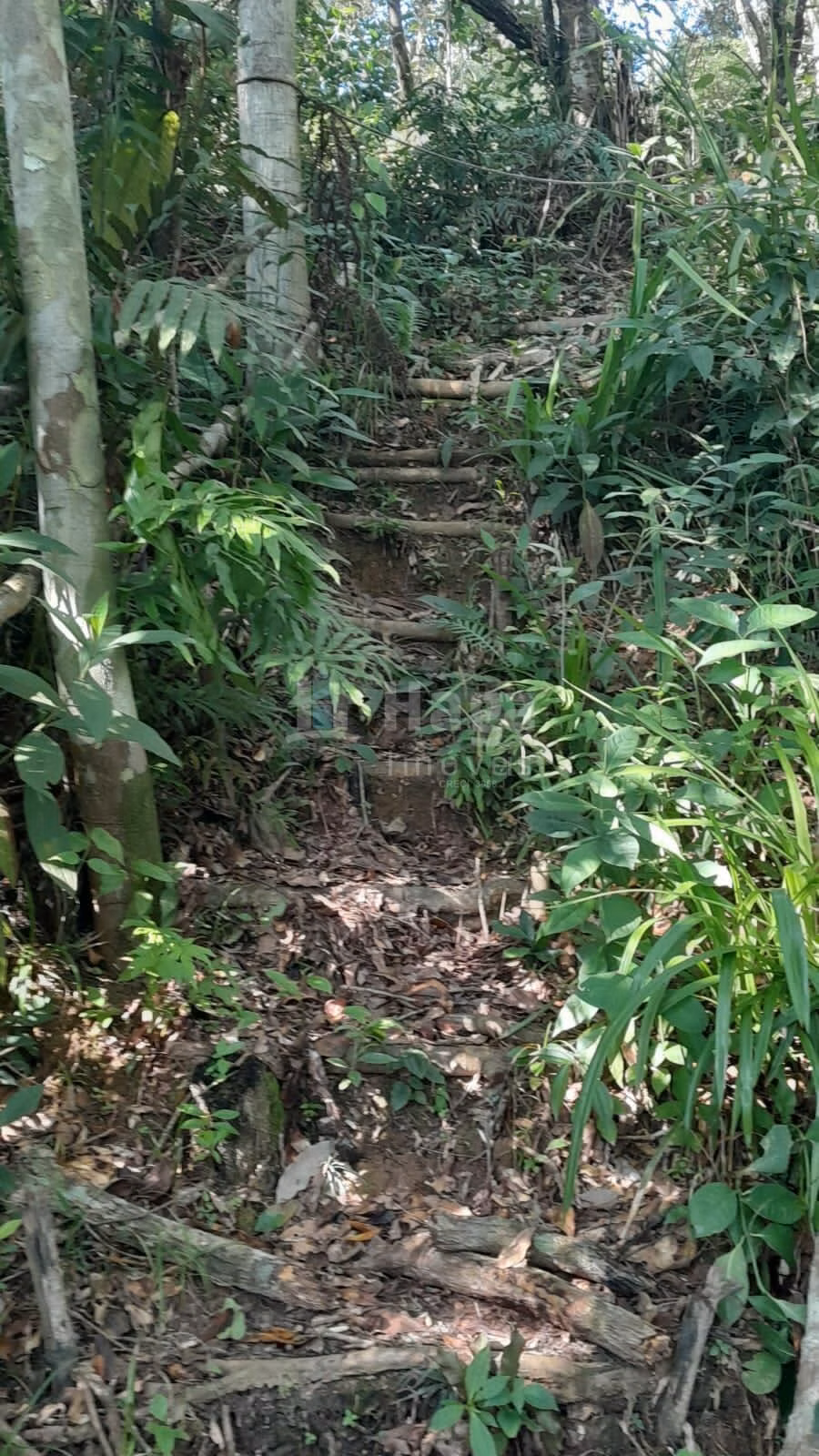 Farm of 2,947 m² in Itajaí, SC, Brazil