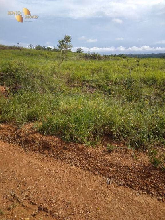Fazenda de 2.420 ha em Nova Brasilândia, MT