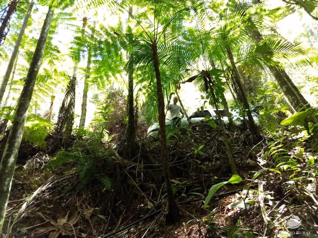 Sítio de 24 ha em Caçapava, SP