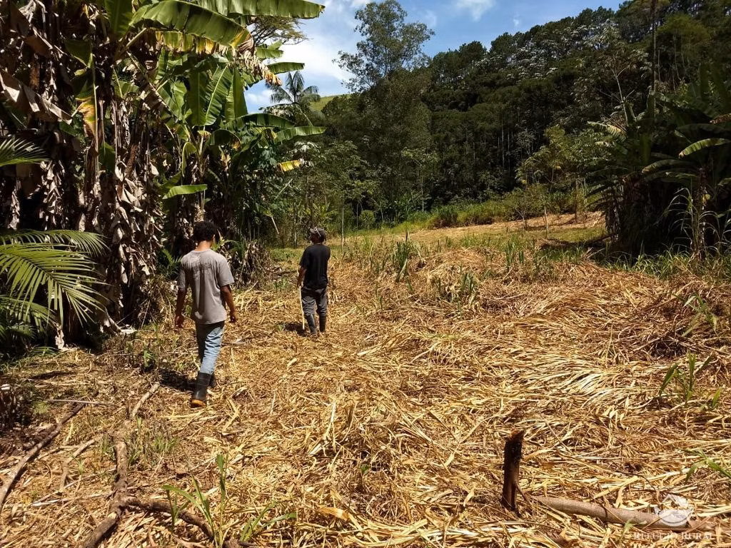 Sítio de 24 ha em Caçapava, SP