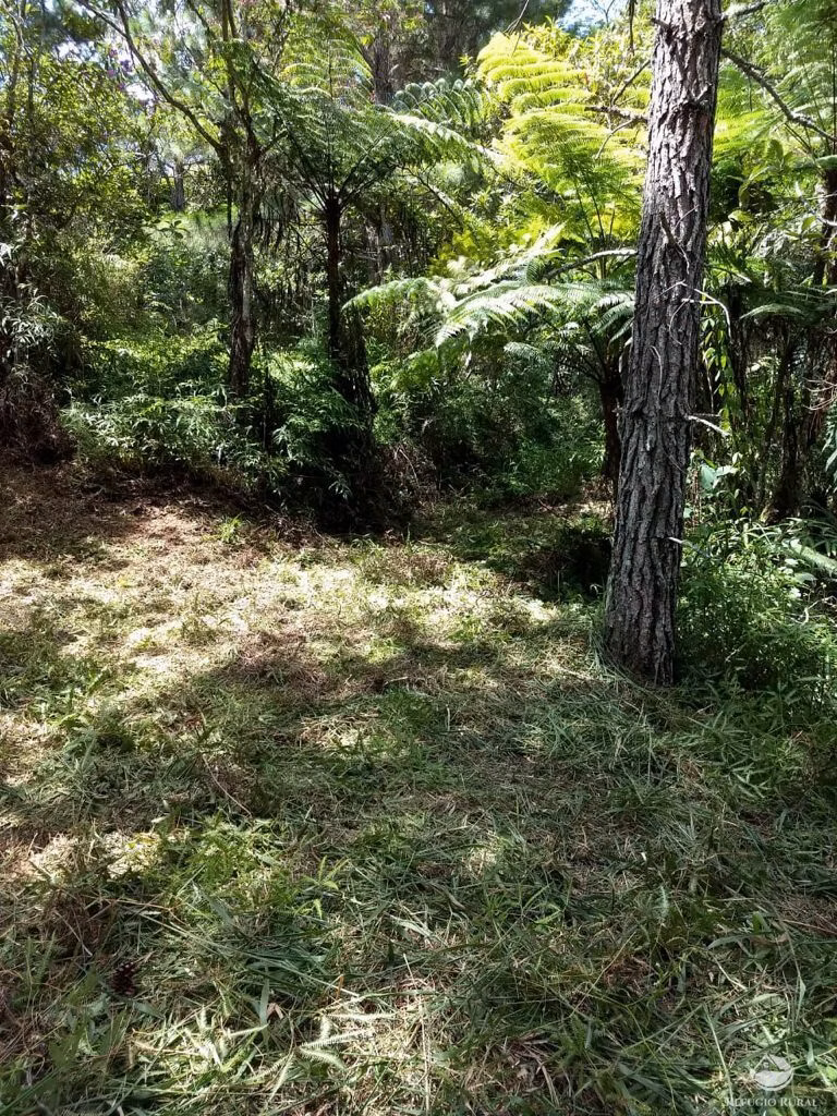 Sítio de 24 ha em Caçapava, SP