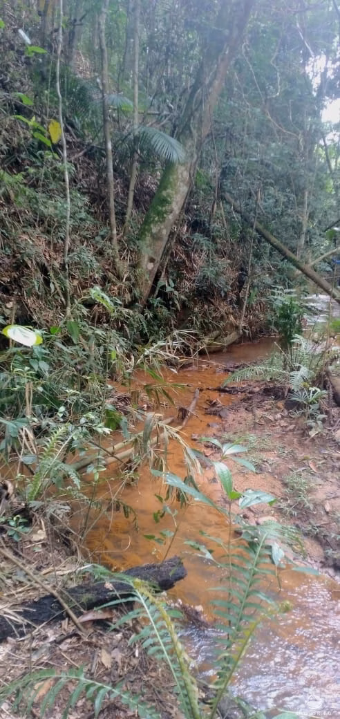 Sítio de 24 ha em Caçapava, SP
