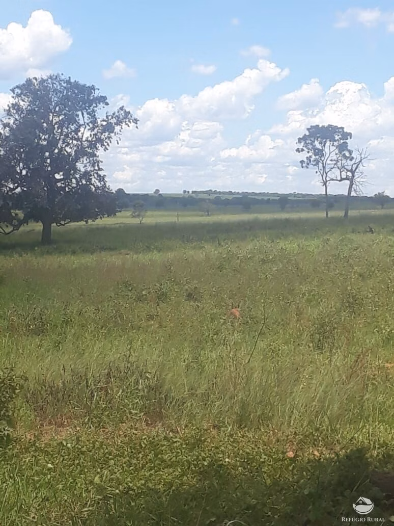 Fazenda de 4.152 ha em Ivolândia, GO