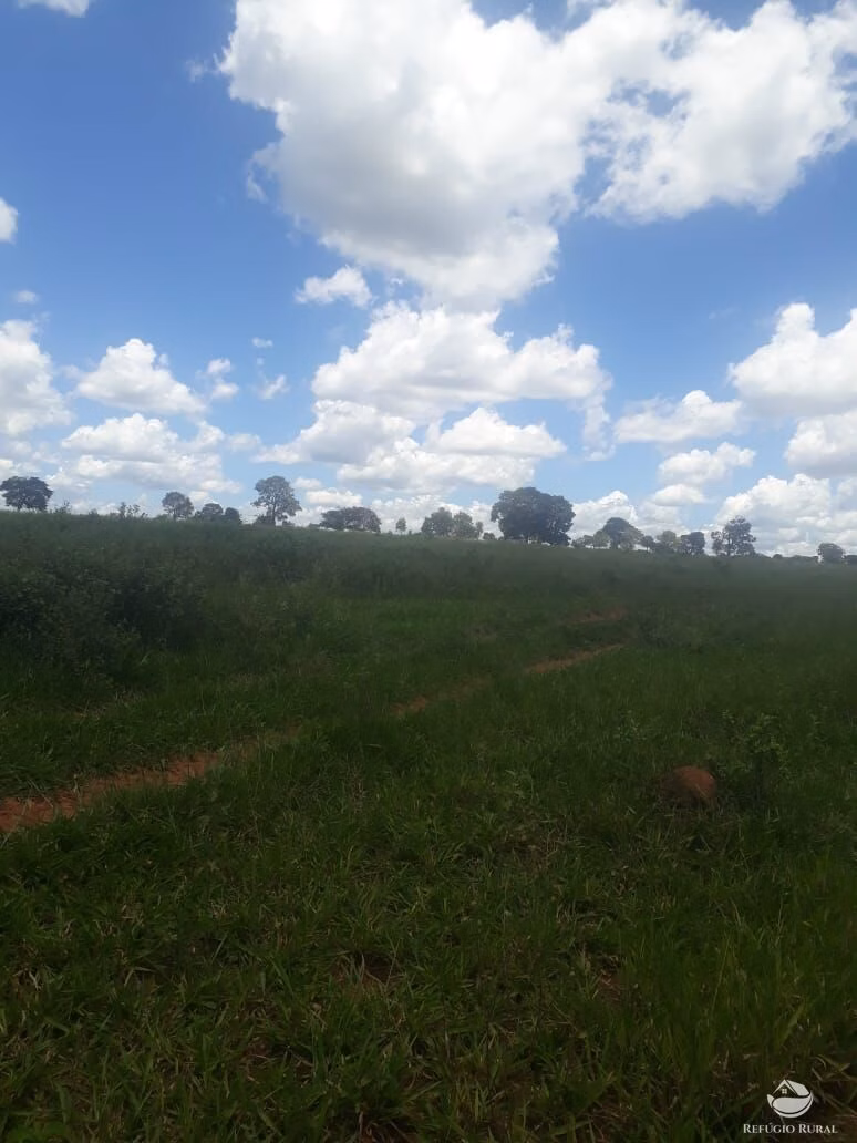 Fazenda de 4.152 ha em Ivolândia, GO