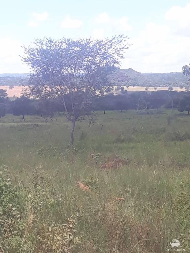 Fazenda de 4.152 ha em Ivolândia, GO