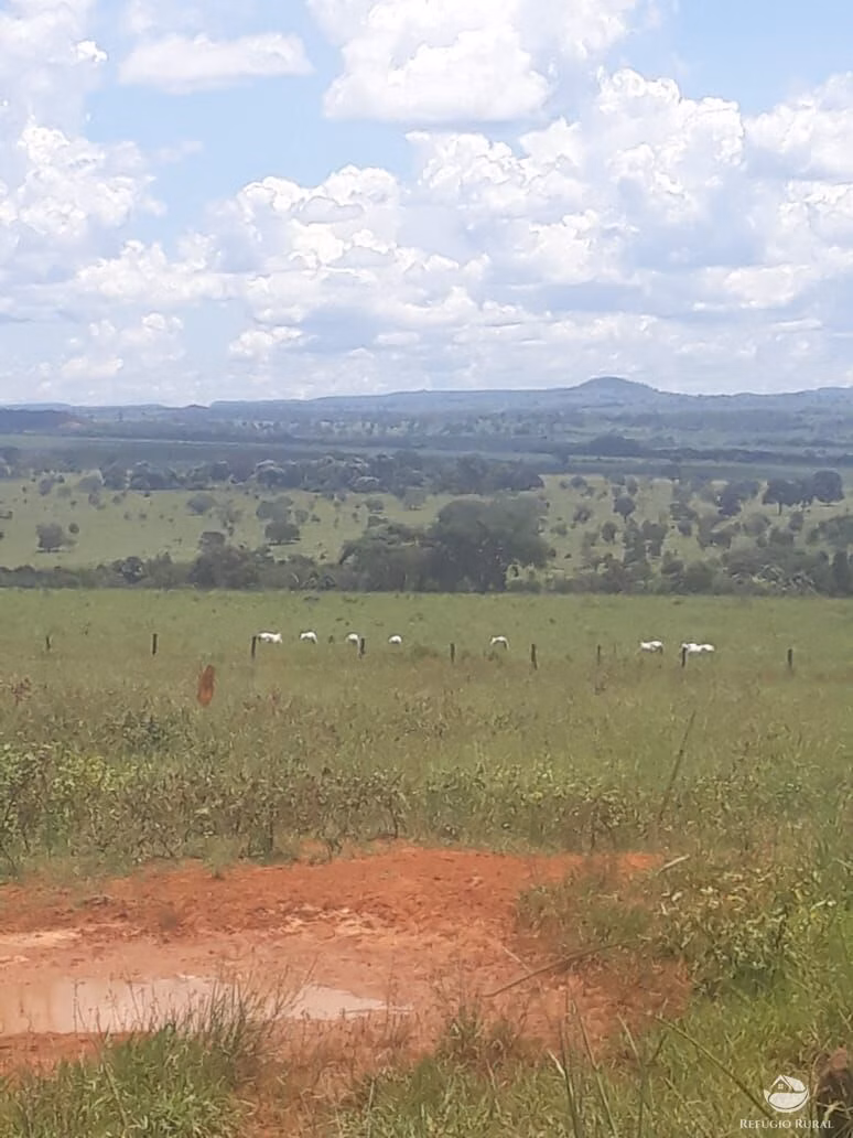 Fazenda de 4.152 ha em Ivolândia, GO