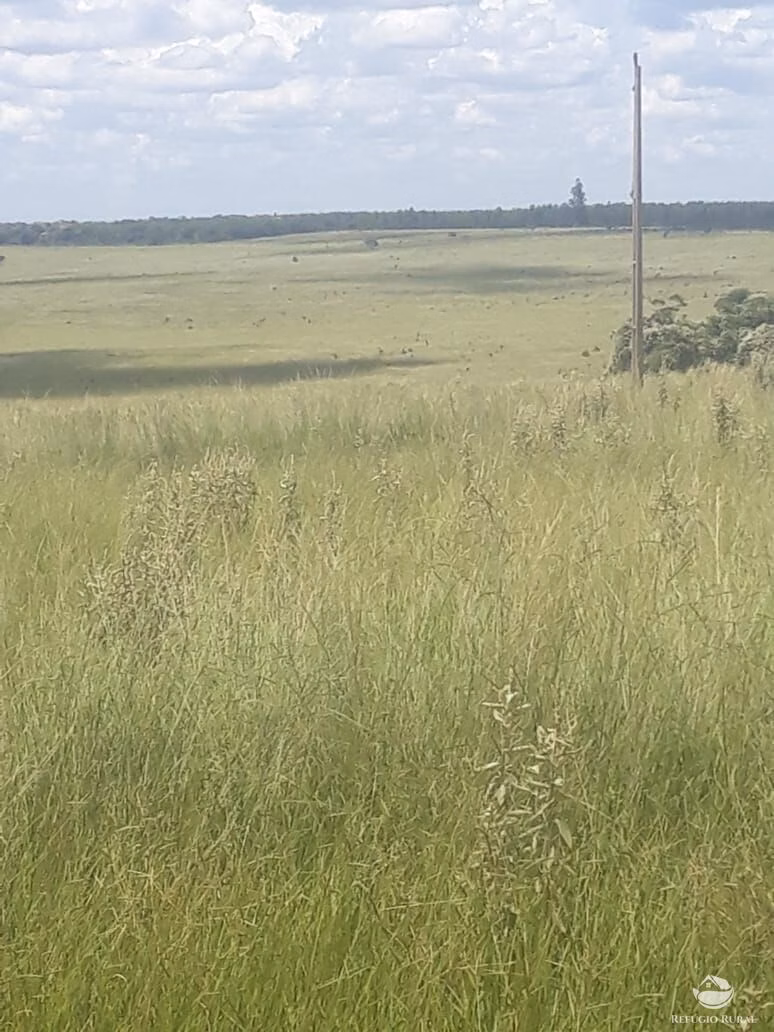 Fazenda de 4.152 ha em Ivolândia, GO