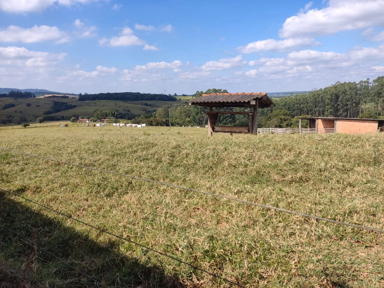 Small farm of 132 acres in Campina do Monte Alegre, SP, Brazil