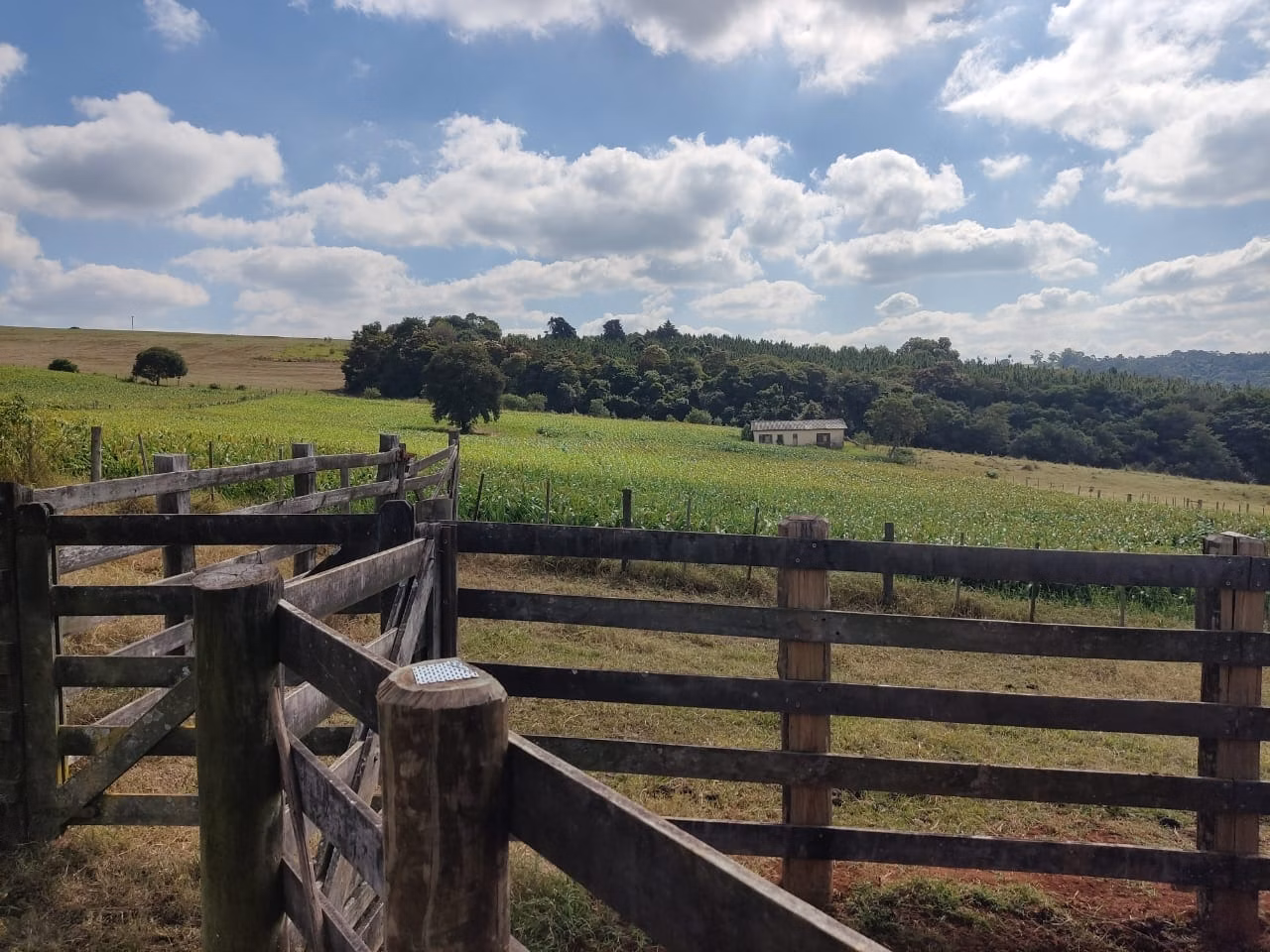 Small farm of 132 acres in Campina do Monte Alegre, SP, Brazil