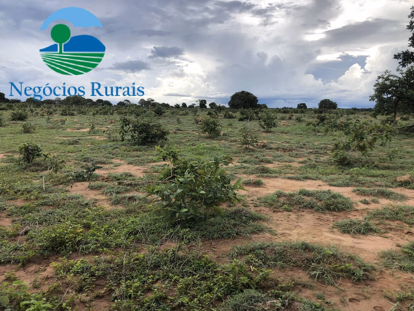 Fazenda de 847 ha em Novo Planalto, GO