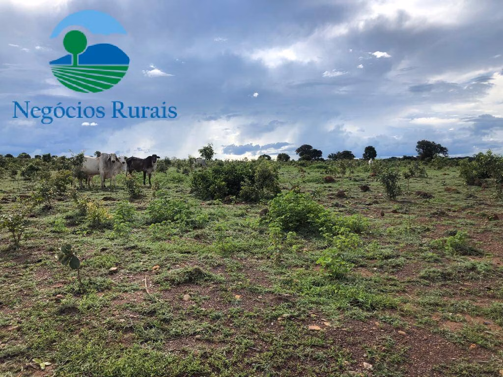 Fazenda de 847 ha em Novo Planalto, GO