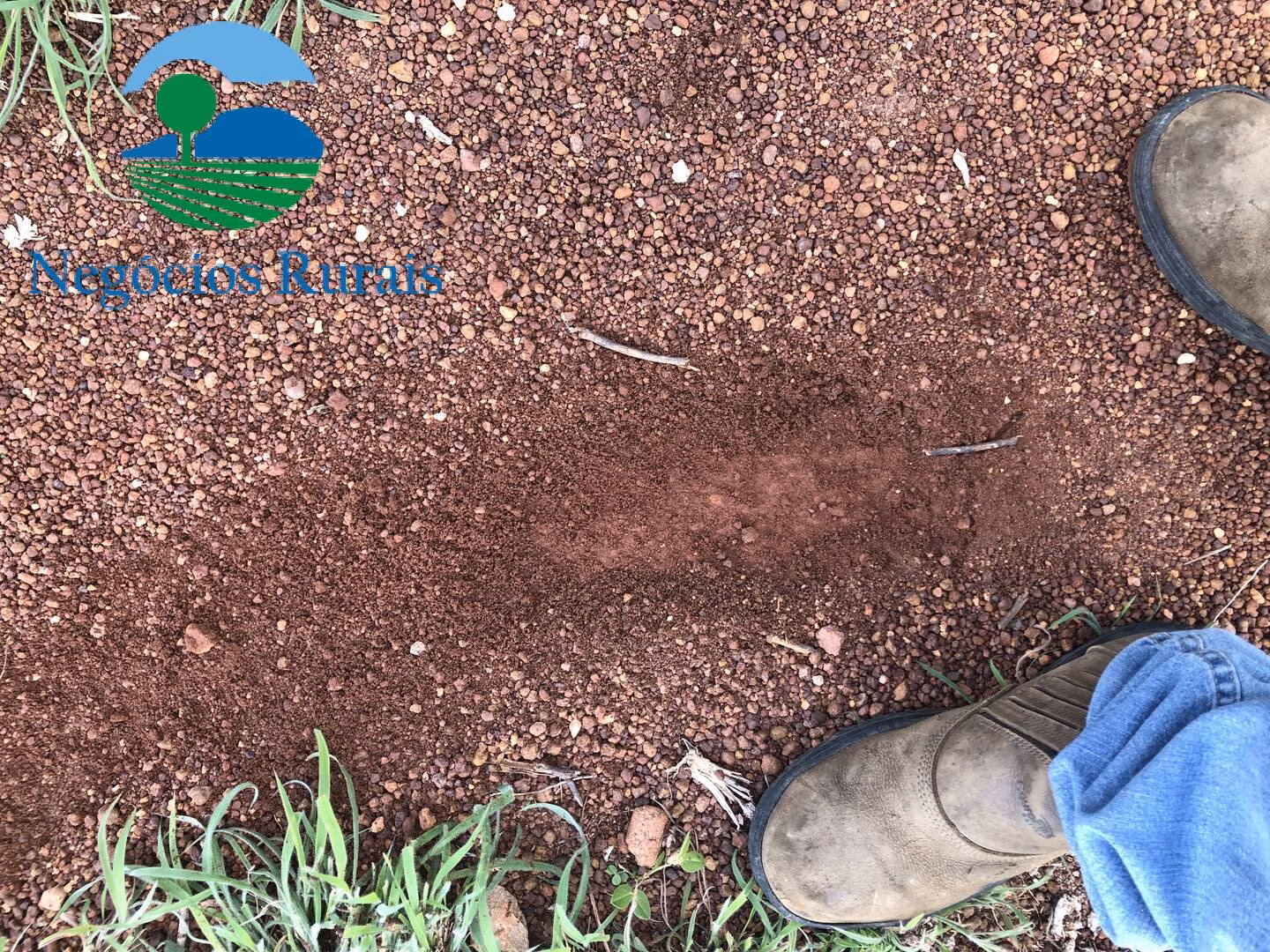Fazenda de 847 ha em Novo Planalto, GO