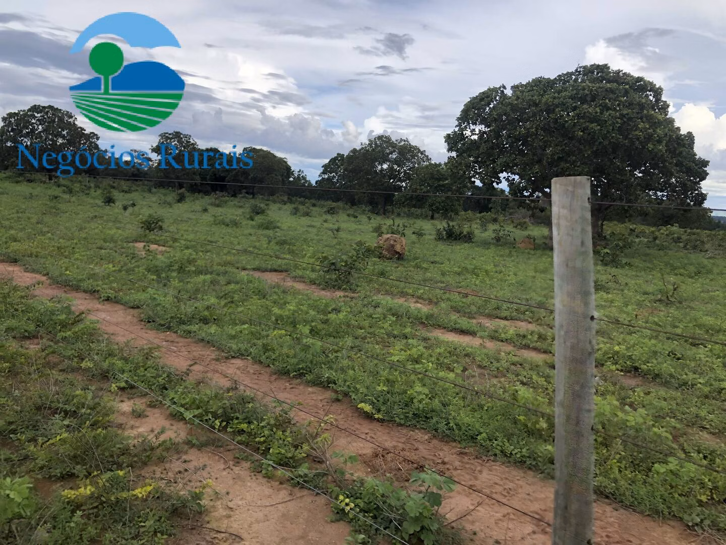 Fazenda de 847 ha em Novo Planalto, GO