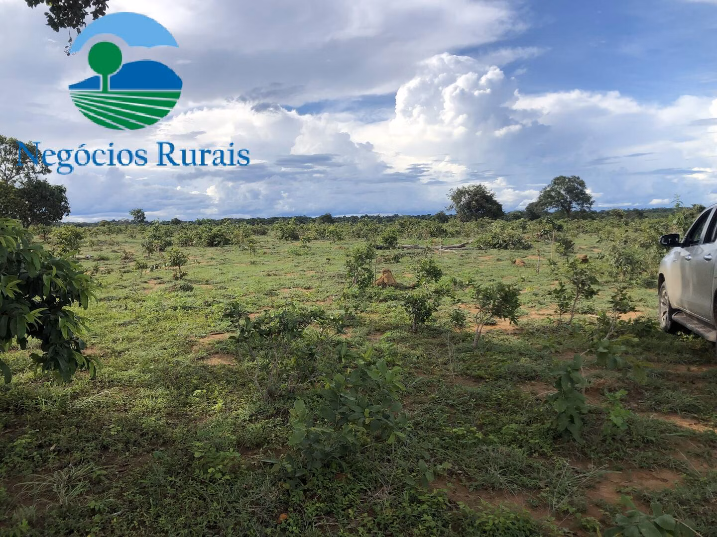 Fazenda de 847 ha em Novo Planalto, GO